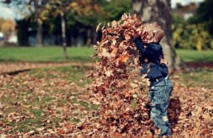 What Are You Thankful For? 1 Child playing in fall leaves