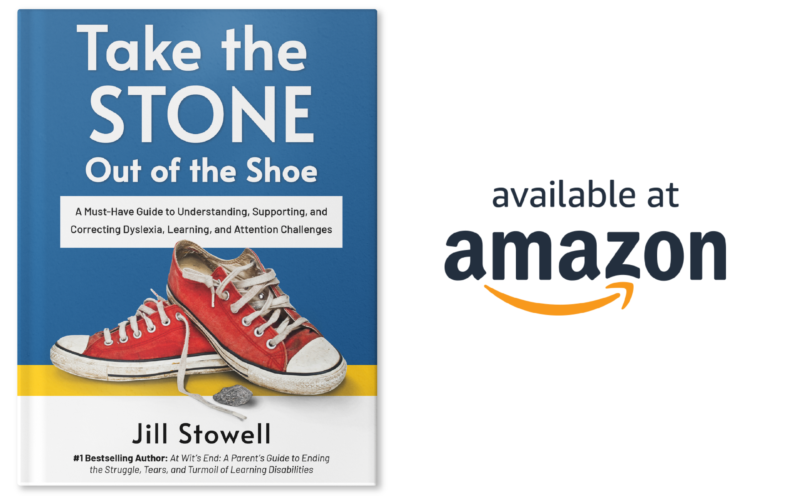 Take the Stone Out of the Shoe Book Available on Amazon