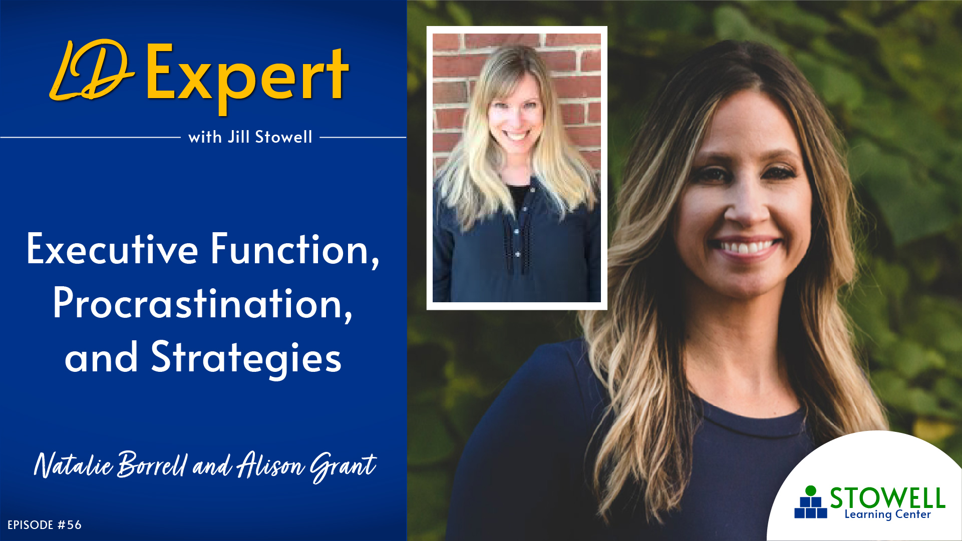 Episode 56 Executive Function, Procrastination, and Strategies